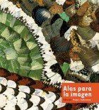 Alas para la imagen. Grupo Pandora. Editor: Pedro Tabernero